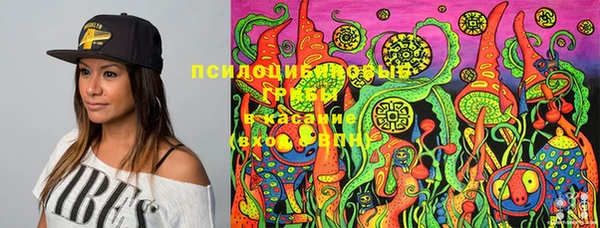 apvp Баксан
