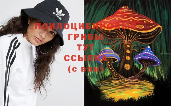 гидра Балахна