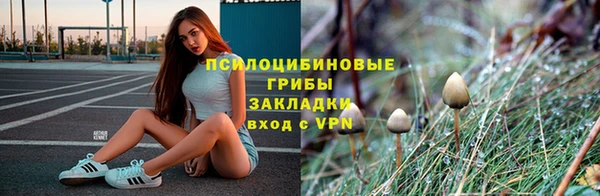 apvp Баксан